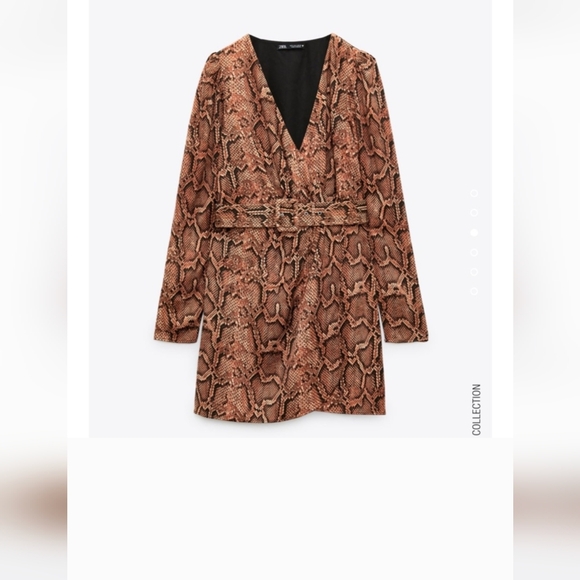 Zara Brown Snake Print V-Neck Dress - Picture 1 of 6
